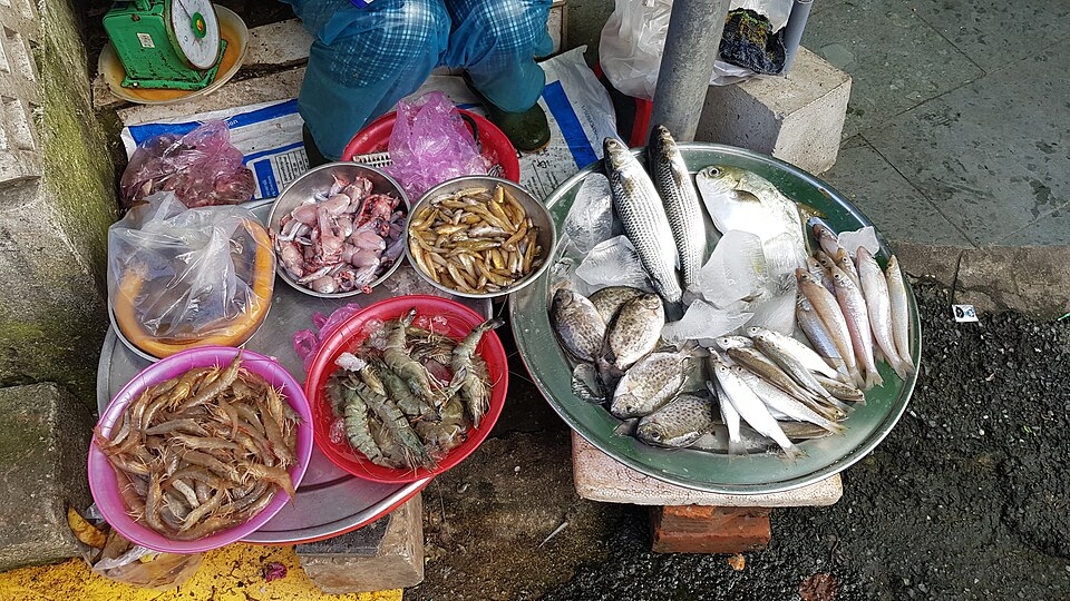 BẢO DƯỠNG & HỖ TRỢ KỸ THUẬT